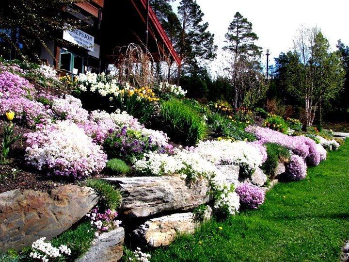 Trolltun Hotel & Hytter Домбас Экстерьер фото